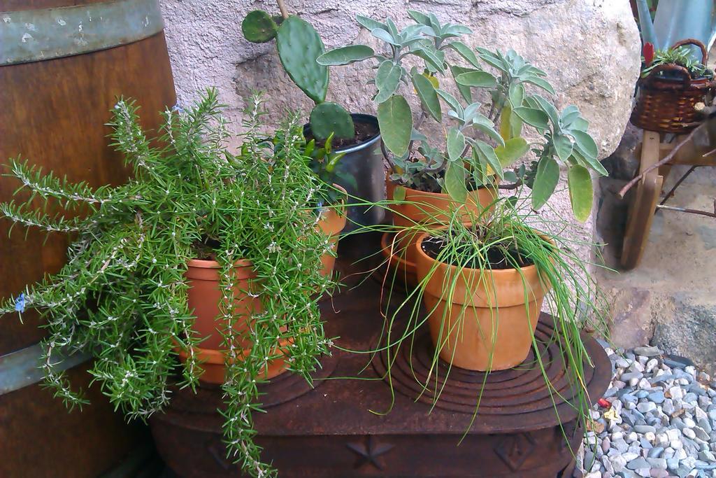 B&B Villa Ca'Praja Daone Esterno foto