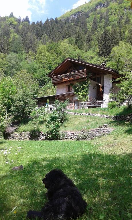 B&B Villa Ca'Praja Daone Esterno foto
